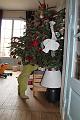 2013-12-27 Zelie en vadrouille, les frangins 007